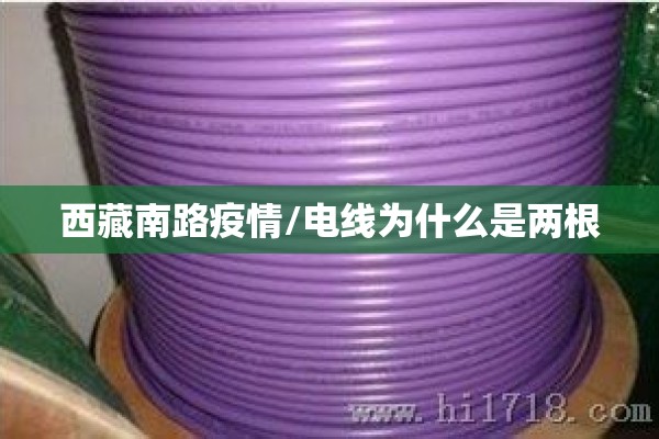 西藏南路疫情/电线为什么是两根 西藏南路疫情/电线为什么是两根