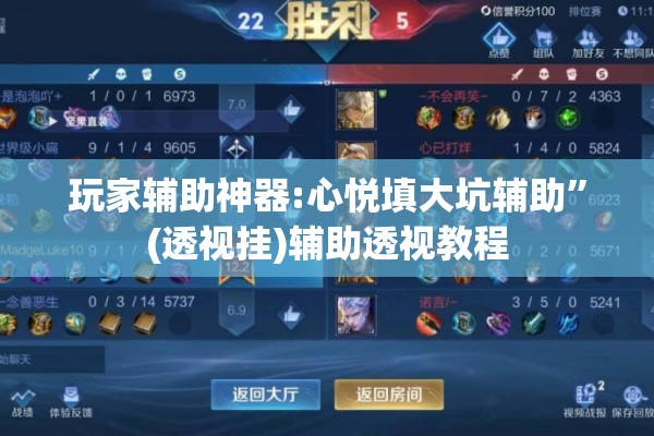 玩家辅助神器:心悦填大坑辅助	”(透视挂)辅助透视教程