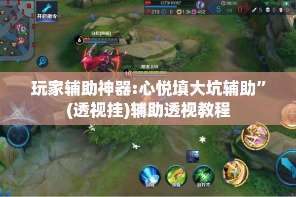 玩家辅助神器:心悦填大坑辅助”(透视挂)辅助透视教程