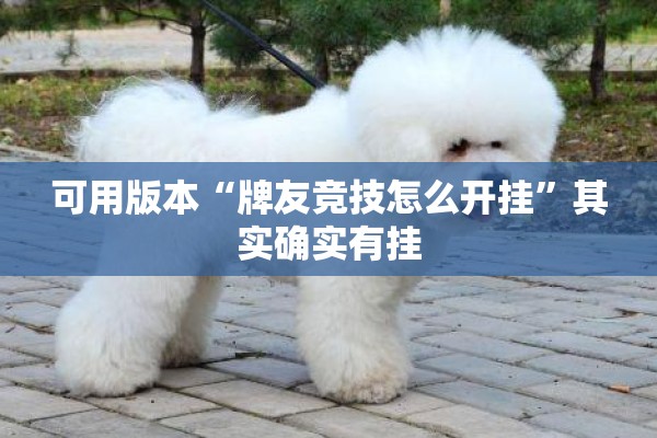 可用版本“牌友竞技怎么开挂”其实确实有挂