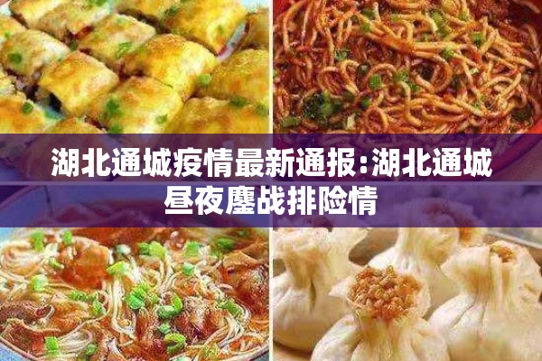 湖北通城疫情最新通报:湖北通城昼夜鏖战排险情