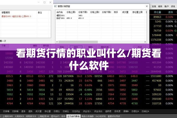 看期货行情的职业叫什么/期货看什么软件 看期货行情的职业叫什么/期货看什么软件