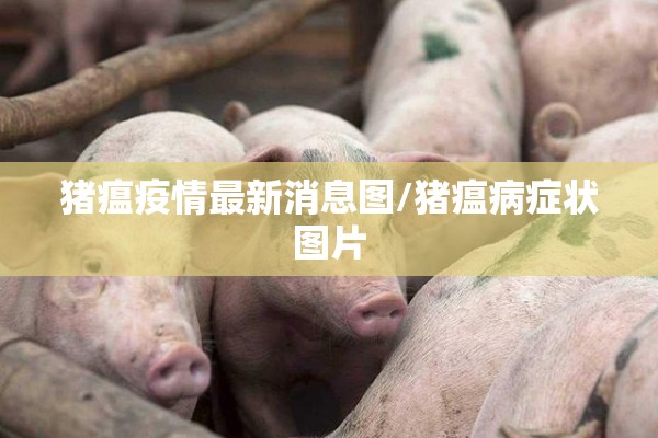 猪瘟疫情最新消息图/猪瘟病症状图片