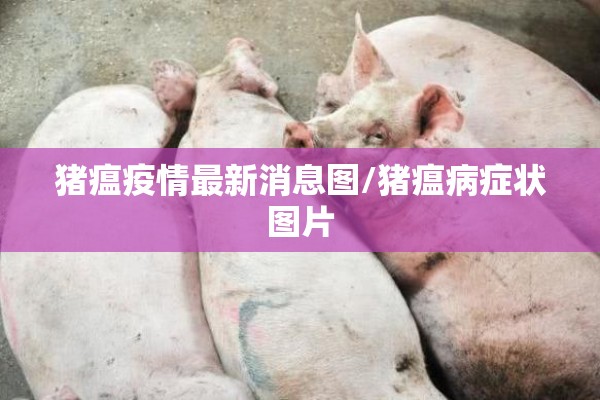 猪瘟疫情最新消息图/猪瘟病症状图片