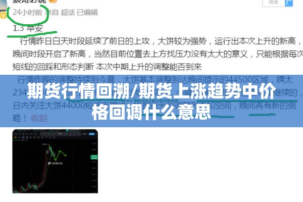 期货行情回溯/期货上涨趋势中价格回调什么意思