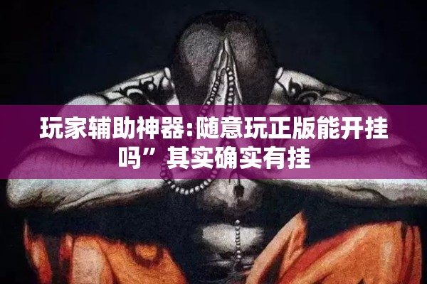 玩家辅助神器:随意玩正版能开挂吗	”其实确实有挂