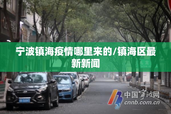 宁波镇海疫情哪里来的/镇海区最新新闻