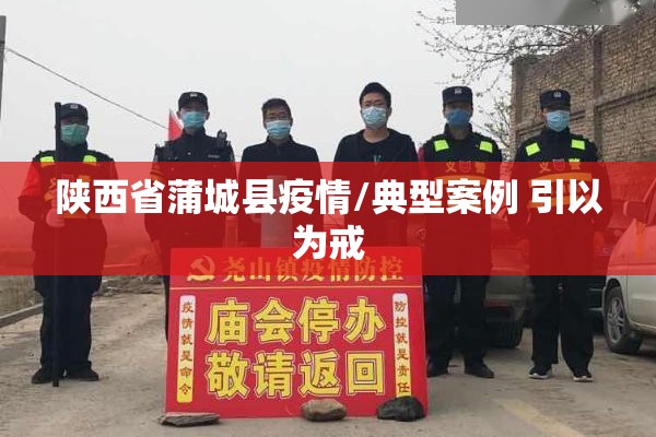 陕西省蒲城县疫情/典型案例 引以为戒