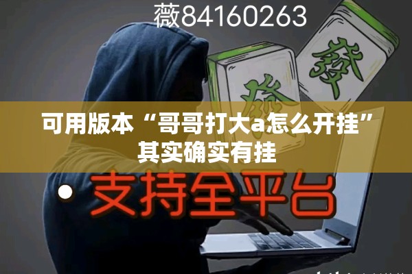 可用版本“哥哥打大a怎么开挂	”其实确实有挂