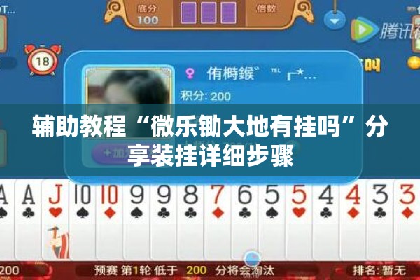 辅助教程“微乐锄大地有挂吗”分享装挂详细步骤
