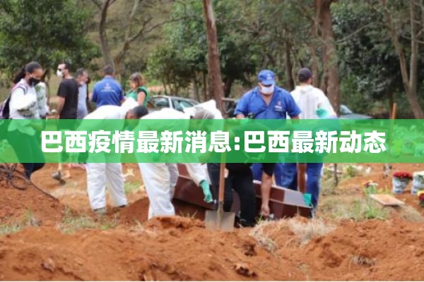 巴西疫情最新消息:巴西最新动态