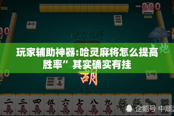 玩家辅助神器:哈灵麻将怎么提高胜率	”其实确实有挂