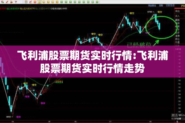飞利浦股票期货实时行情:飞利浦股票期货实时行情走势