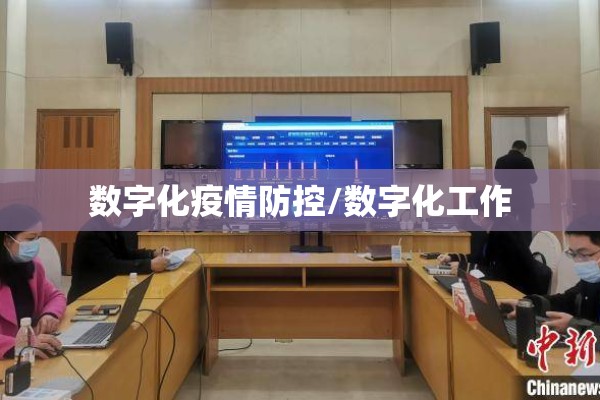 数字化疫情防控/数字化工作