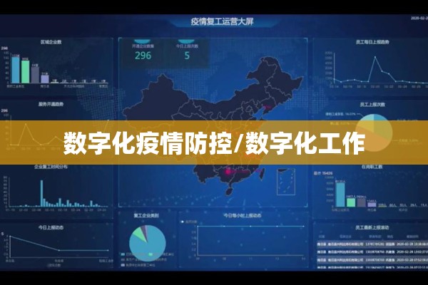 数字化疫情防控/数字化工作