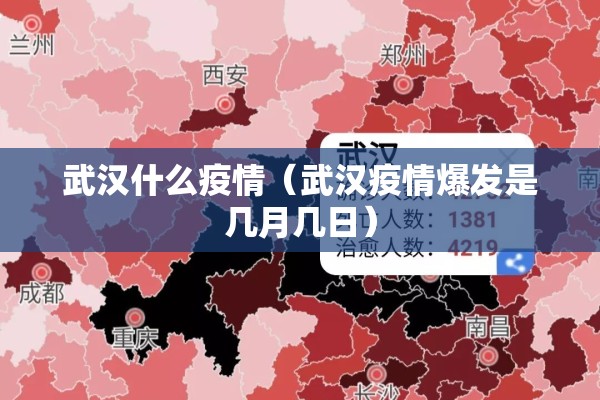 武汉什么疫情(武汉疫情爆发是几月几日) 武汉什么疫情(武汉疫情爆发是几月几日)