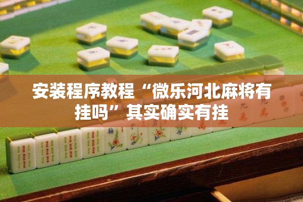 安装程序教程“微乐河北麻将有挂吗”其实确实有挂
