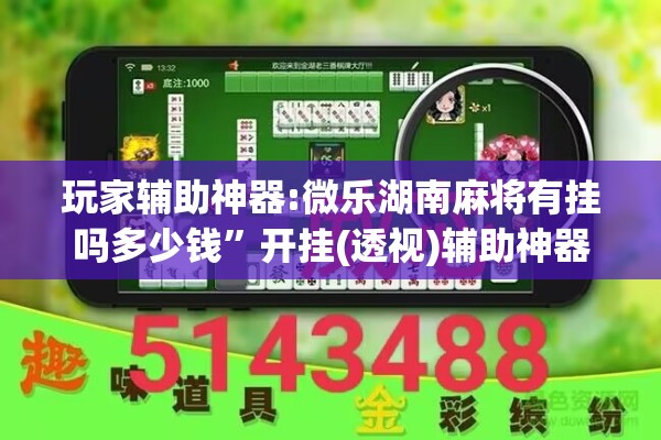 玩家辅助神器:微乐湖南麻将有挂吗多少钱	”开挂(透视)辅助神器