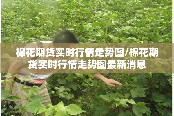 棉花期货实时行情走势图/棉花期货实时行情走势图最新消息