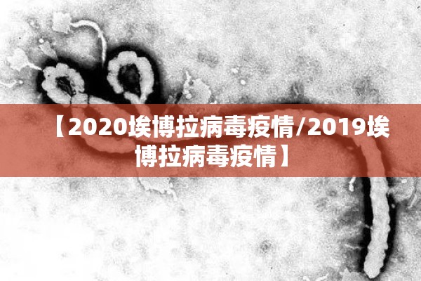 【2020埃博拉病毒疫情/2019埃博拉病毒疫情】 【2020埃博拉病毒疫情/2019埃博拉病毒疫情】