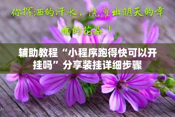 辅助教程“小程序跑得快可以开挂吗”分享装挂详细步骤
