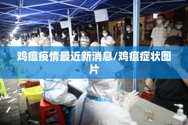 鸡瘟疫情最近新消息/鸡瘟症状图片 鸡瘟疫情最近新消息/鸡瘟症状图片