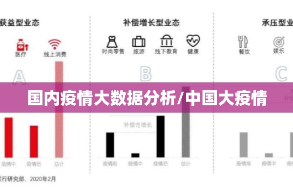 国内疫情大数据分析/中国大疫情