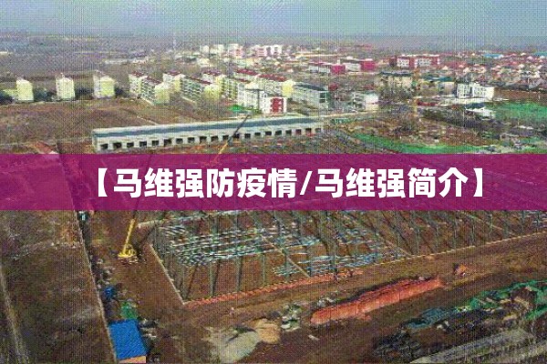 【马维强防疫情/马维强简介】