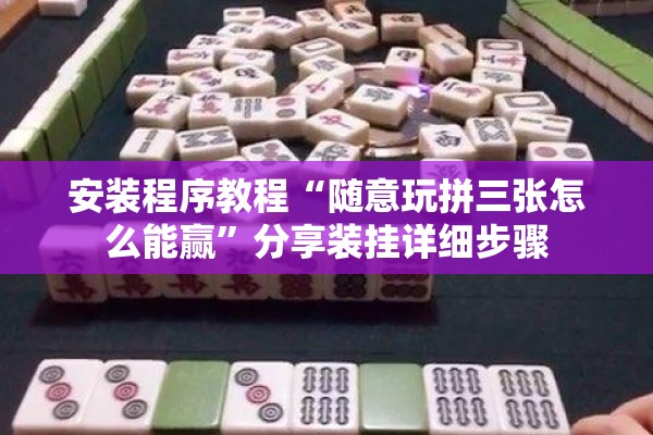 安装程序教程“随意玩拼三张怎么能赢”分享装挂详细步骤