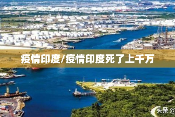 疫情印度/疫情印度死了上千万