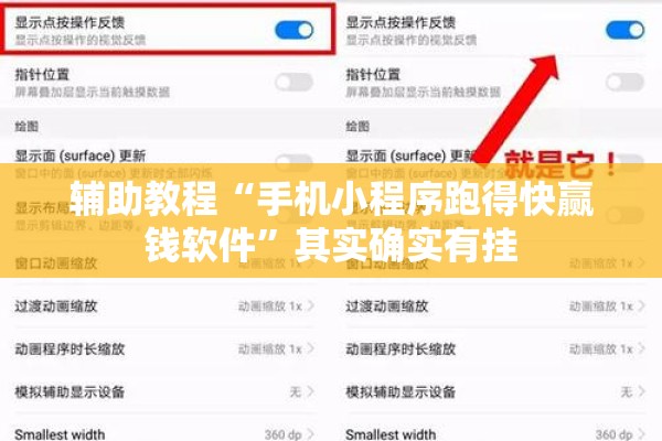 辅助教程“手机小程序跑得快赢钱软件”其实确实有挂