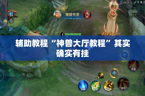辅助教程“神兽大厅教程”其实确实有挂