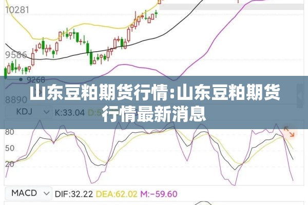 山东豆粕期货行情:山东豆粕期货行情最新消息 山东豆粕期货行情:山东豆粕期货行情最新消息