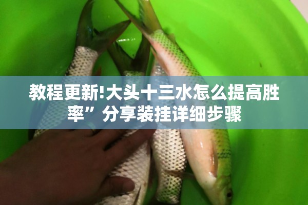 教程更新!大头十三水怎么提高胜率”分享装挂详细步骤