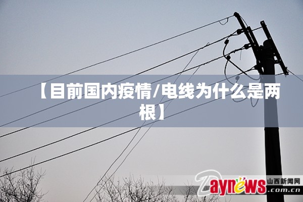 【目前国内疫情/电线为什么是两根】 【目前国内疫情/电线为什么是两根】