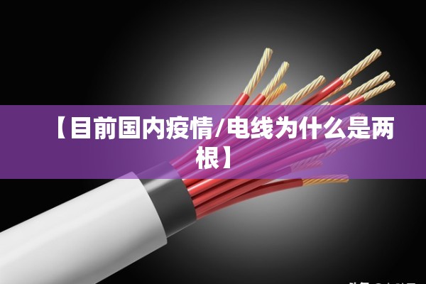 【目前国内疫情/电线为什么是两根】 【目前国内疫情/电线为什么是两根】