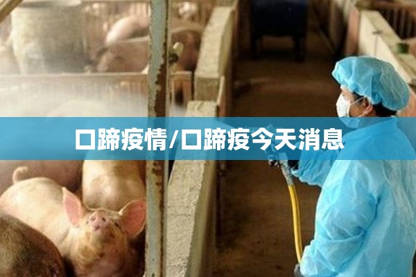 口蹄疫情/口蹄疫今天消息