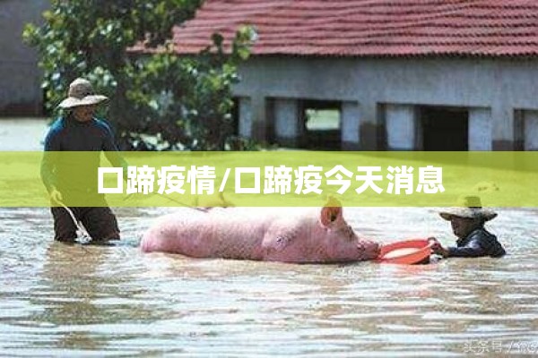 口蹄疫情/口蹄疫今天消息