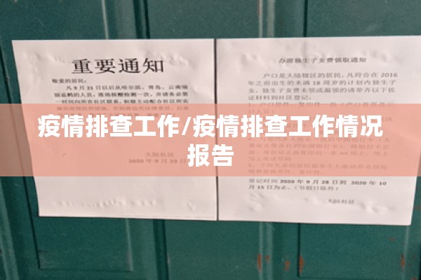 疫情排查工作/疫情排查工作情况报告