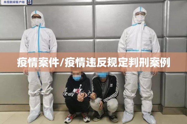 疫情案件/疫情违反规定判刑案例