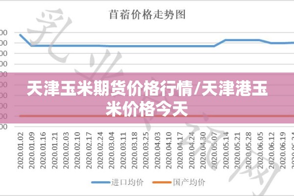 天津玉米期货价格行情/天津港玉米价格今天 天津玉米期货价格行情/天津港玉米价格今天