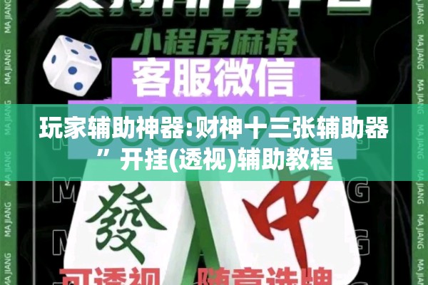 玩家辅助神器:财神十三张辅助器	”开挂(透视)辅助教程