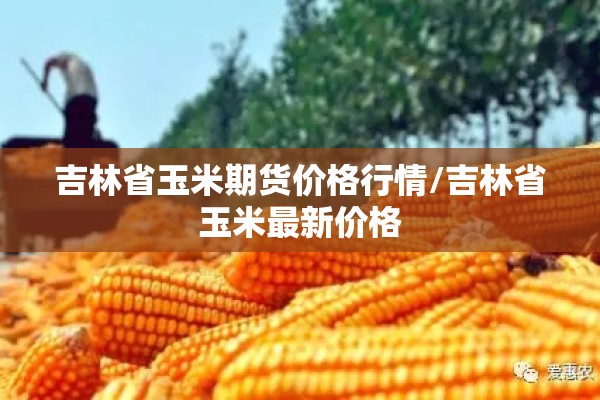 吉林省玉米期货价格行情/吉林省玉米最新价格 吉林省玉米期货价格行情/吉林省玉米最新价格