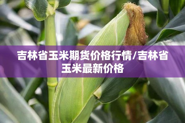 吉林省玉米期货价格行情/吉林省玉米最新价格 吉林省玉米期货价格行情/吉林省玉米最新价格