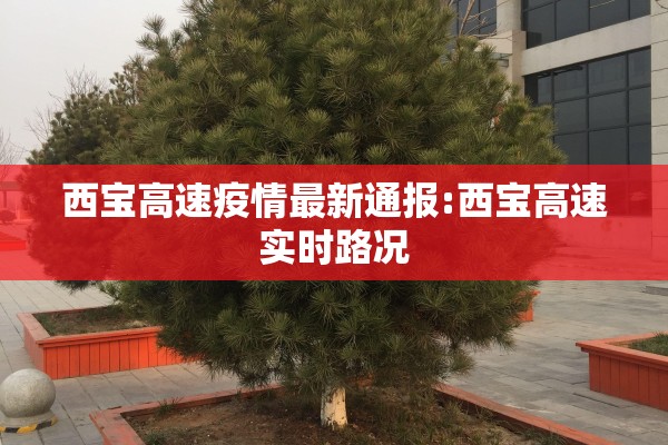 西宝高速疫情最新通报:西宝高速实时路况 西宝高速疫情最新通报:西宝高速实时路况