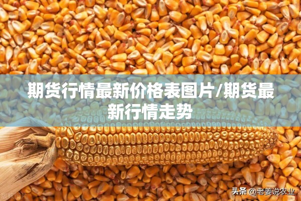 期货行情最新价格表图片/期货最新行情走势