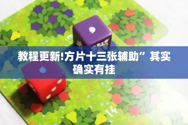 教程更新!方片十三张辅助”其实确实有挂