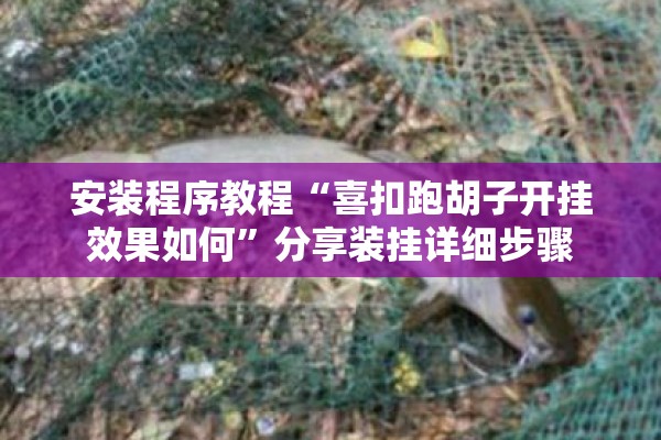 安装程序教程“喜扣跑胡子开挂效果如何”分享装挂详细步骤