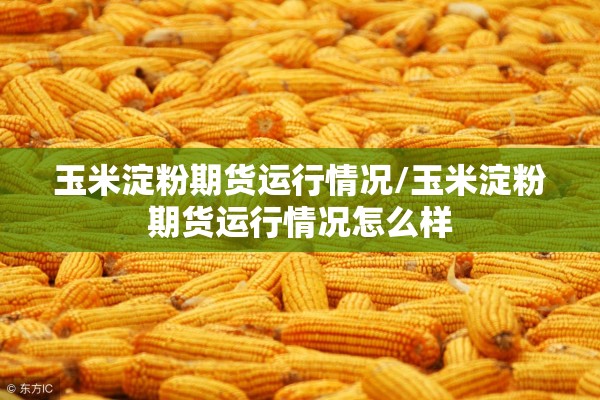 玉米淀粉期货运行情况/玉米淀粉期货运行情况怎么样 玉米淀粉期货运行情况/玉米淀粉期货运行情况怎么样