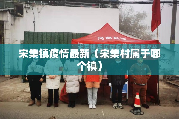 宋集镇疫情最新（宋集村属于哪个镇）